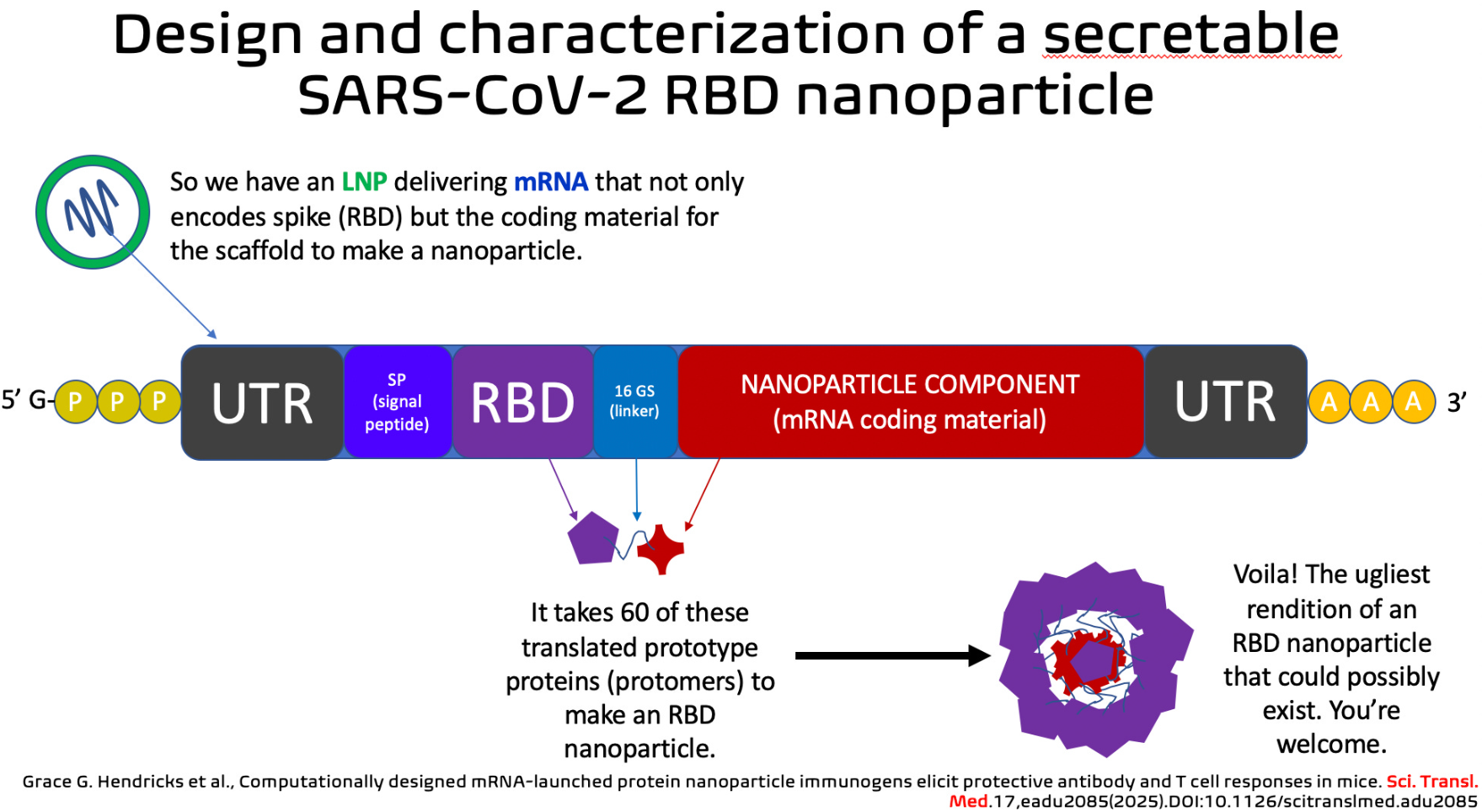 Design and characterization of a secretable SARS-CoV-2 RBD nanoparticle